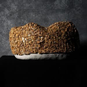 dsc00007.jpg 0007 dsc09499