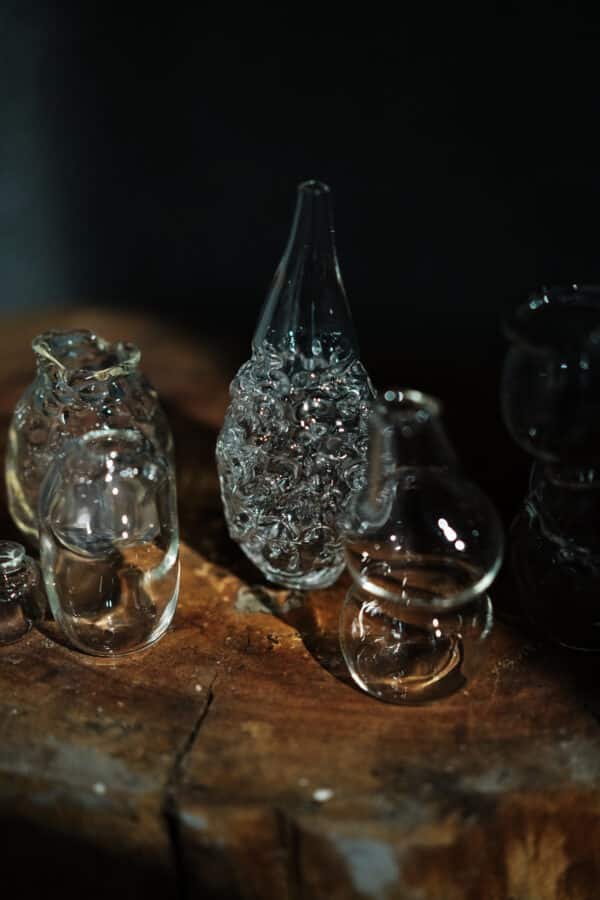 dsc08562.jpg 0001 dsc08356