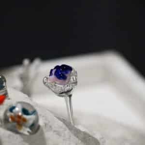 dsc08562.jpg 0003 dsc08231